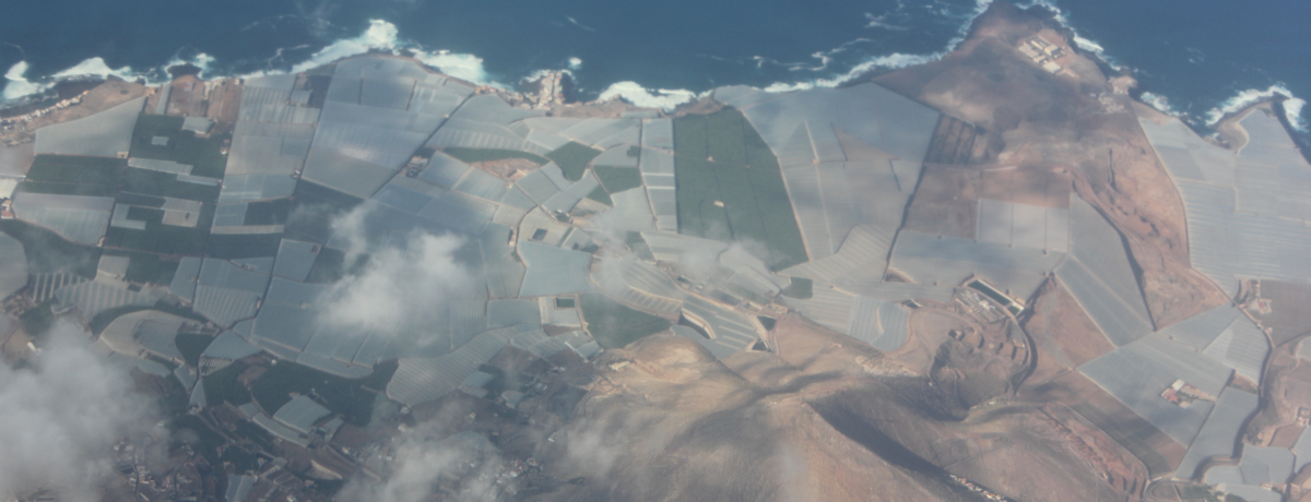 XyCňԍΎRAJiAeltF̃eCfɍs