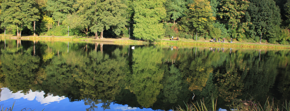 �������a�̏ے��I�ƕ������ɂ���u�h�C�c�t�����X�����v