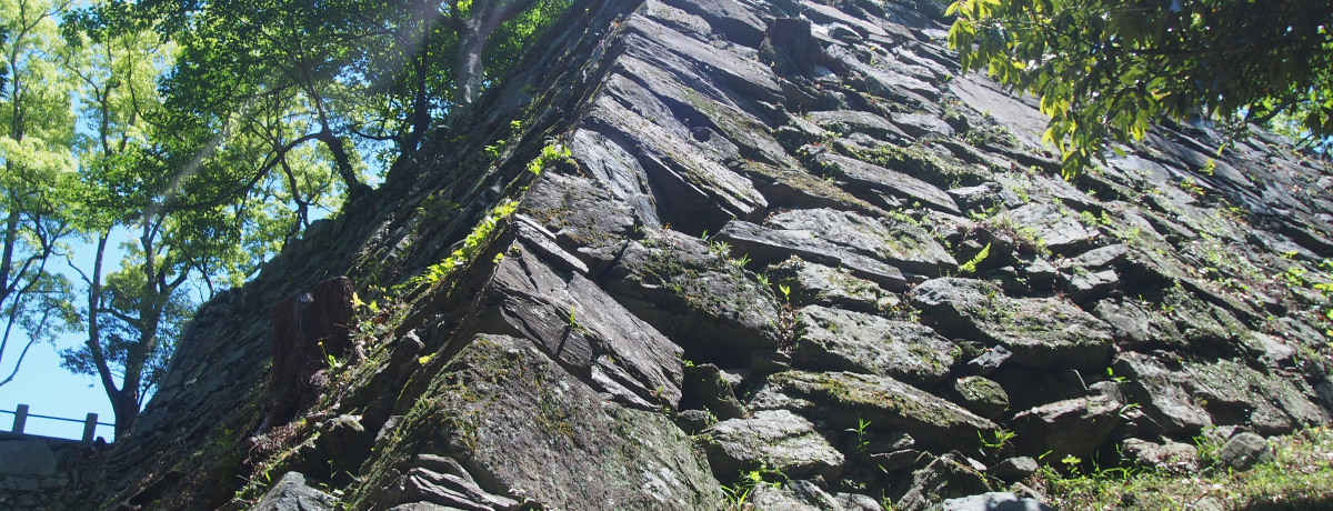 ���g�΂Œz���ꂽ�Ί_����������`������`