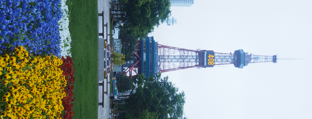 �J��̗��j�����ޓ��s�E�D�y�̍��W���`��ʌ����`