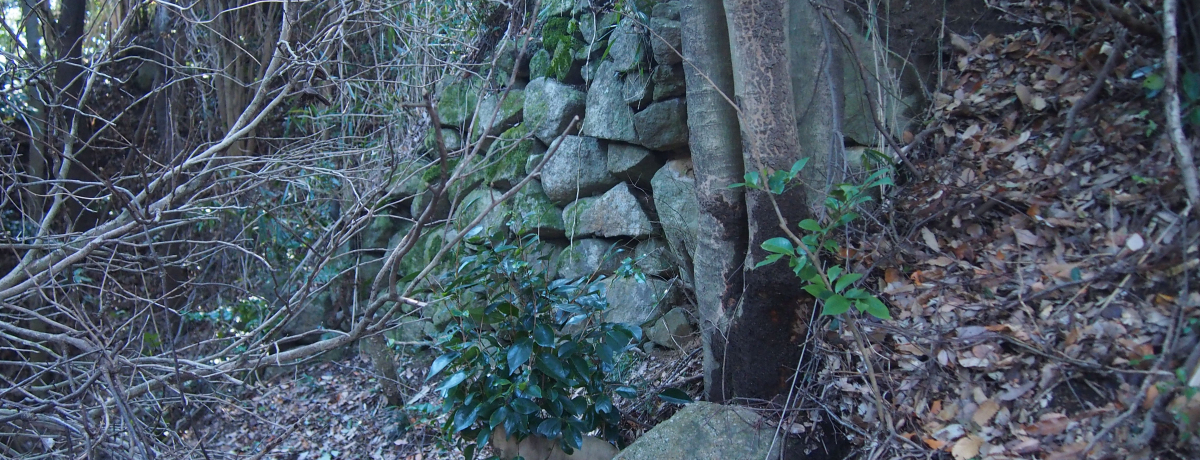 �B�ꂽ����E�����R��ւ̂����Ȃ��`�͓��E�ѐ��隬�`