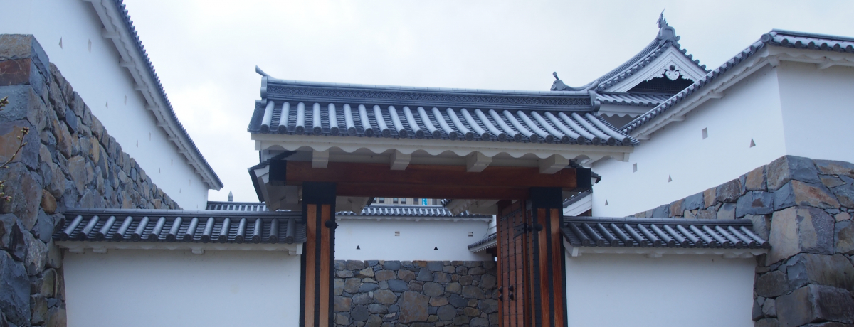 ̗vnɂт鑍Ί_̖`b{`