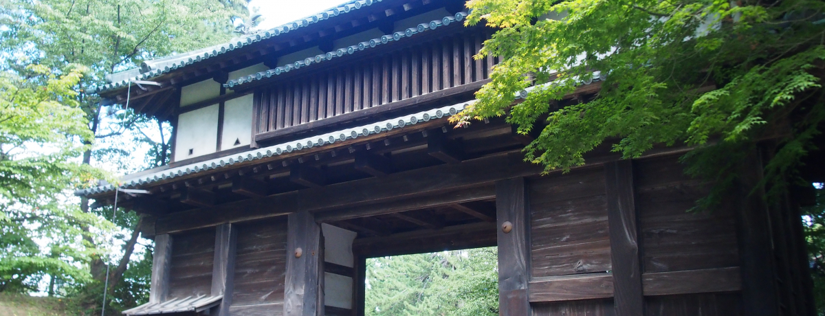 �k���E�Ìy���ւ錻���V���i�����s�`�O�O��`