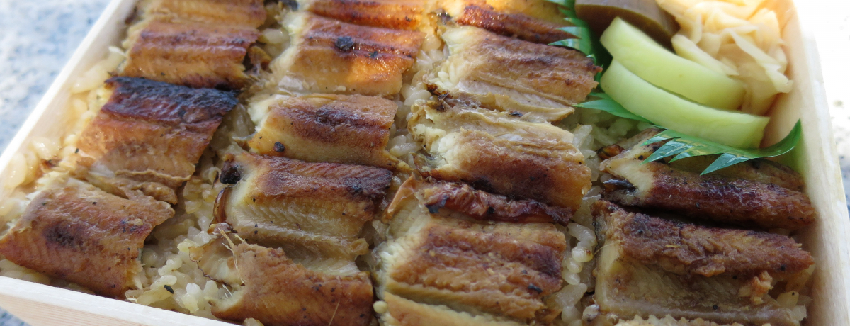 �����_�ЎQ�q�̂����ɁI���Ȃ��߂����˂̘V�܁u�����́v�̂��ٓ�