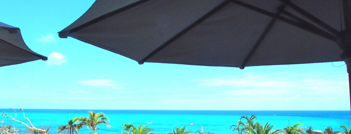 SI[Vr[IuJt[][g t`N RhEzevŃ][g𖞋iII