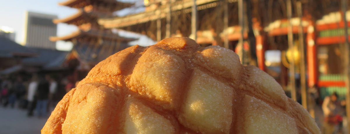 �󑐐H�ו����K�C�h����ŁI��΂ɊO���Ȃ��b��̃O�����T�I