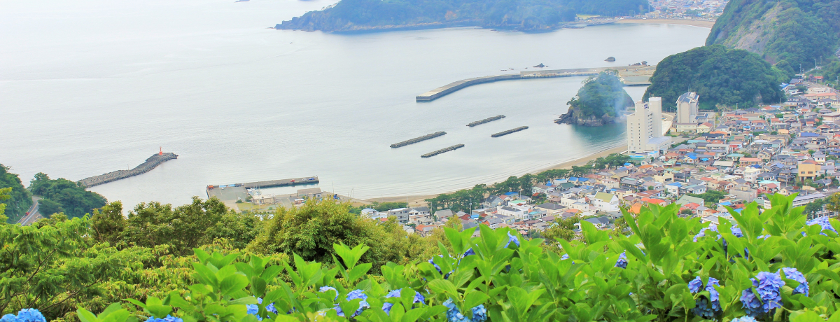 wE̒SŁAԁx̃PnIɓE蒬߂