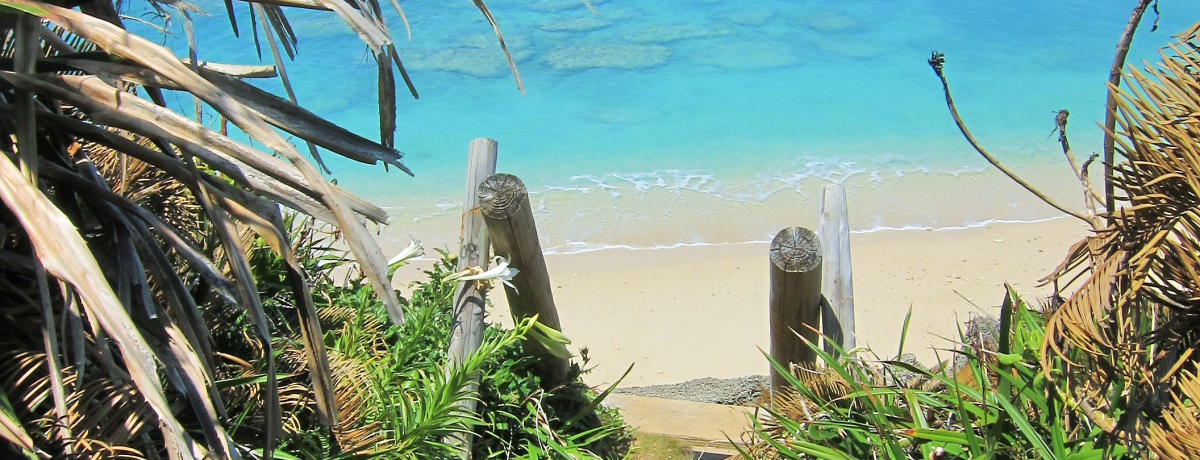 �_���h��v�����Ő�i�T�C�N�����O�I����{��������A��ōs���闣��