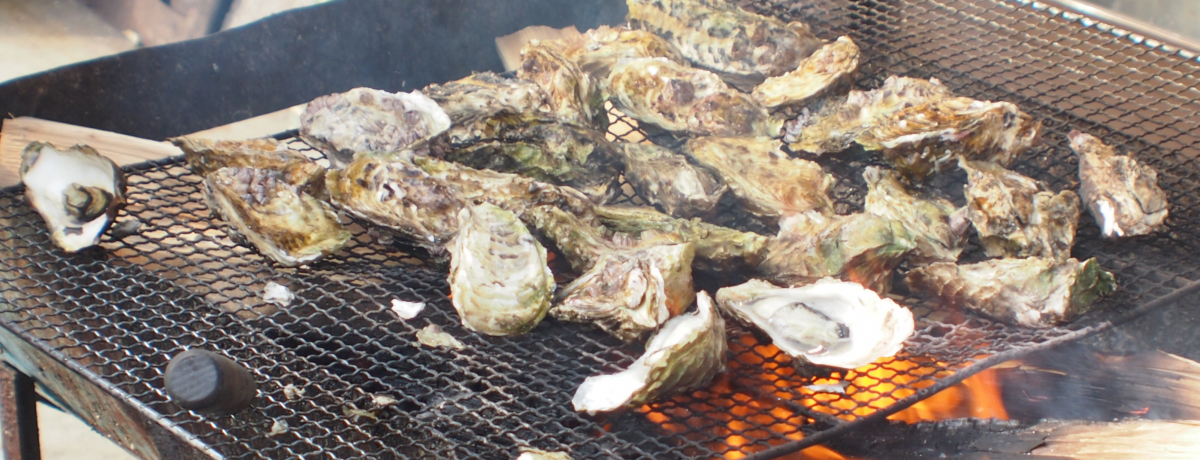 ~{IHsuRy{BvŉYyHׂ܂낤