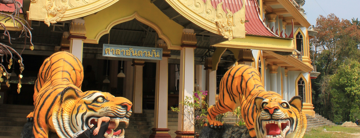 ^CENr̐iX|bgu^XAv1272ioI