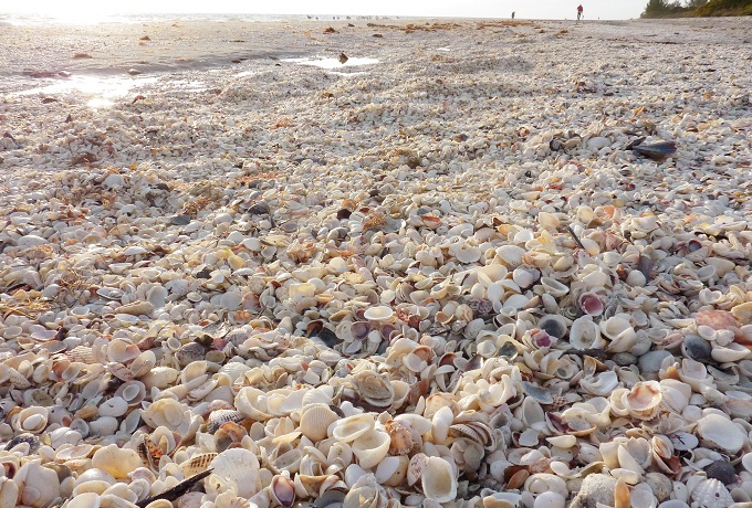 t_BTjxuTZbgr[`Cv͔VFr[`ڑOI