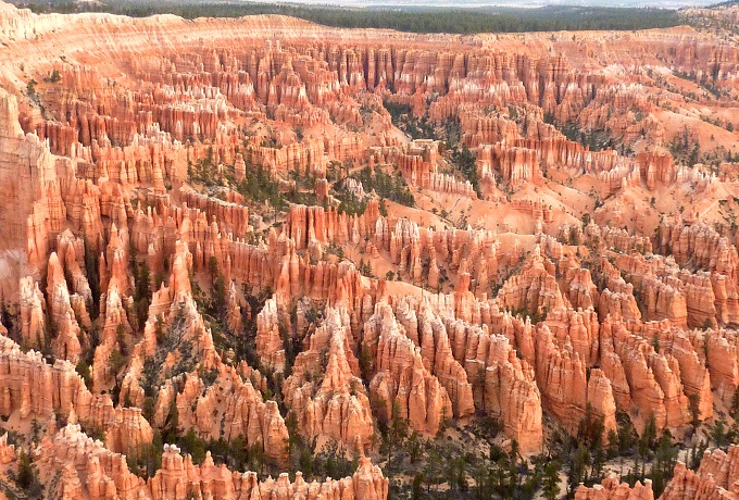 ̐XցI^BuCXLjIhuxXgEFX^vpXesN̐i֏o悤