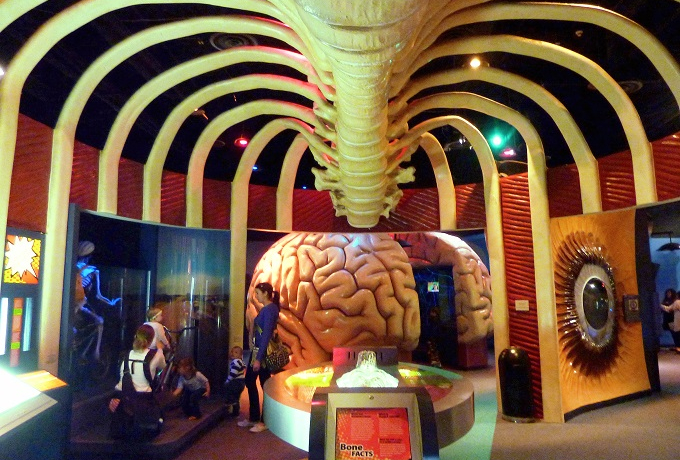 ���ٖ��������Ƒ��Ŋy���߂�č��q���[�X�g�������قS�I