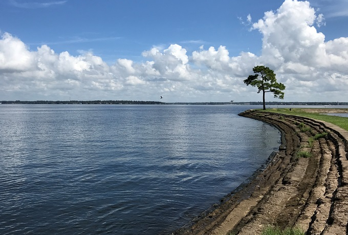 AJPʂ̈ڏZIq[XguR[v̐lCόn