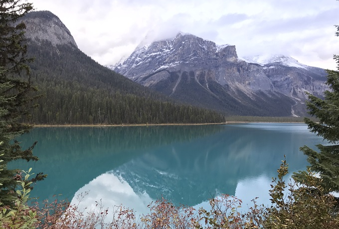 ���ʐF�̐��E��Y���ЂƂ��߁I�J�i�_�u�G�������h���C�N�E���b�W�v