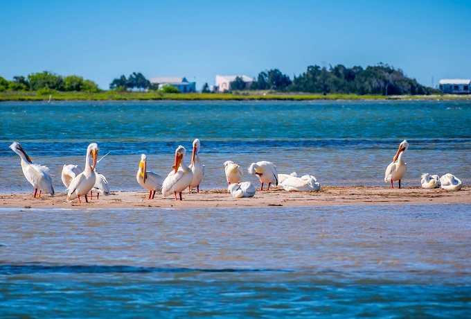 �e�L�T�X�̉B�ꃊ�]�[�g�u�R�[�p�X�N���X�e�B�[�v�ό��G���A5�I