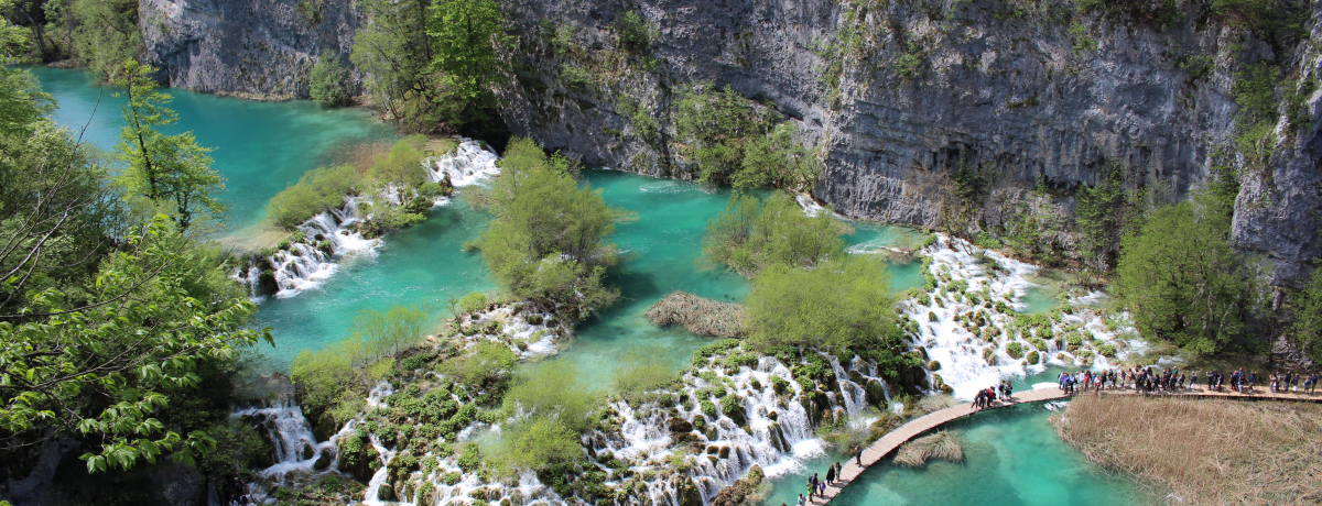 �G�������h�O���[���ɋP���_��̑�I�N���A�`�A�u�v���g���B�c�F�v�Ńn�C�L���O