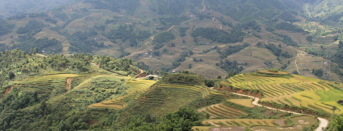 ���E���F�߂��I�x�g�i���̔鋫�u�T�p�v���ւ郉�C�X�e���X�Ƃ́H