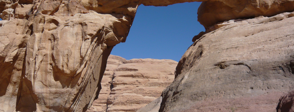 �����_���u���f�B���������v�Ŗ��_����L�����v�ƃN���C�~���O�I