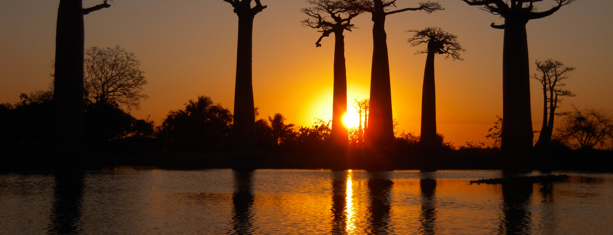 oIou؂ɏr[`IŌ̊yu}_KXJv