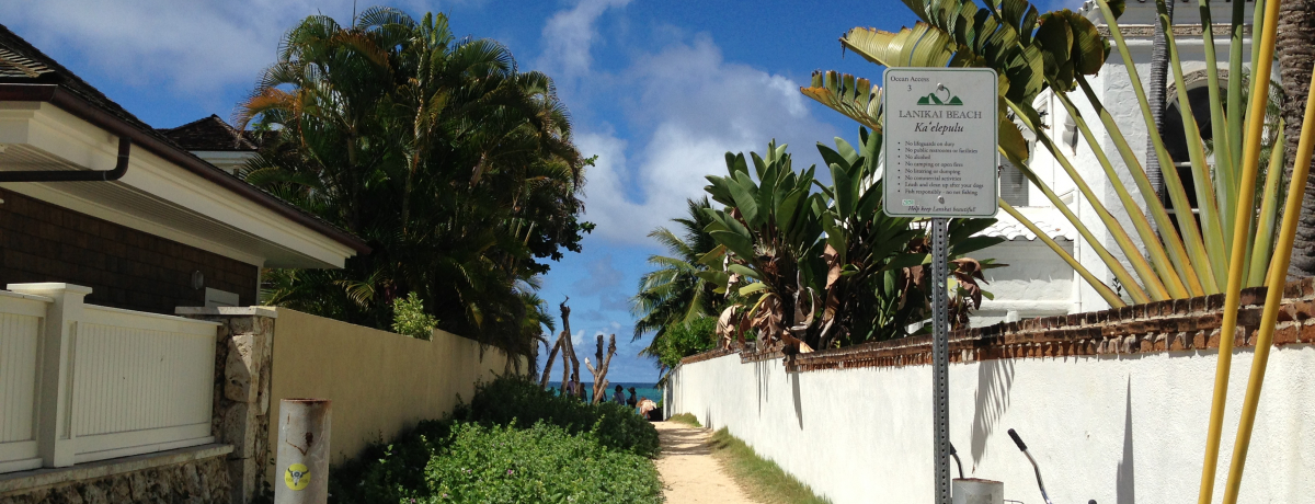 悤V̊CցInCujJCEr[`v͑̂ޔI