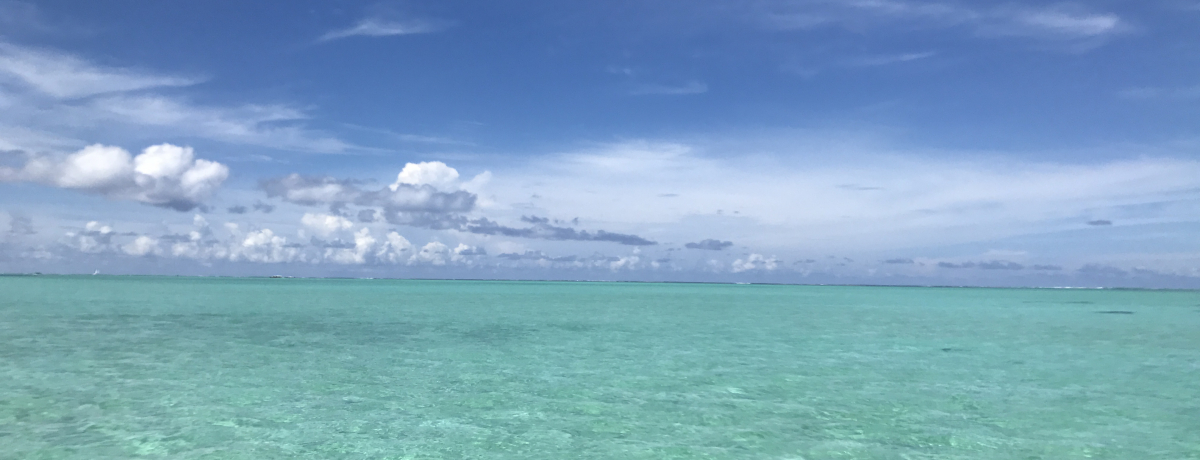 TƃVm[PIH^q`E{{ƖiucsNjbNv