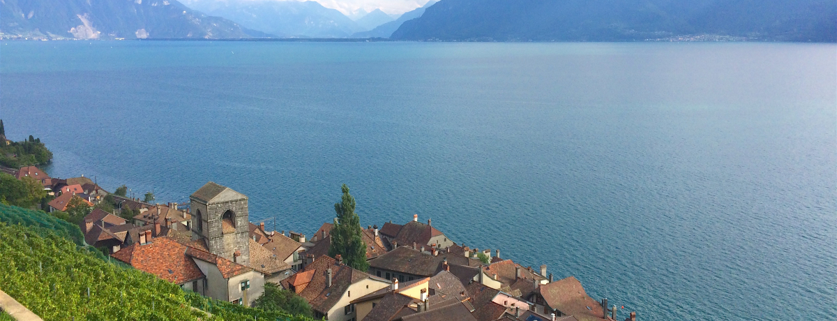 ���E��Y�I�X�C�X�A���}���Ή����u�����H�[�̃��C�����v