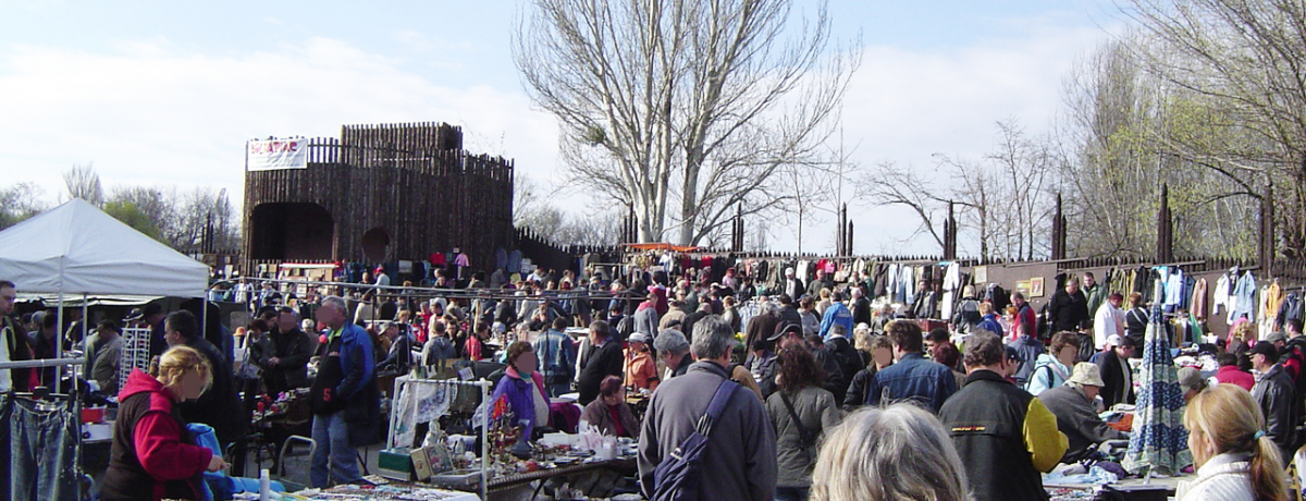 �u�_�y�X�g�u�y�N�T�E�t���[�}�[�P�b�g�v�Ō@��o�����T��