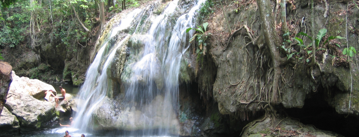 �V�R���򂪗�����I�O�A�e�}���u�t�B���J�E�G���E�p���C�\�v