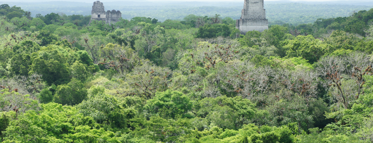 X^[EEH[Yt@KIueBJՁvOAe}̐EY