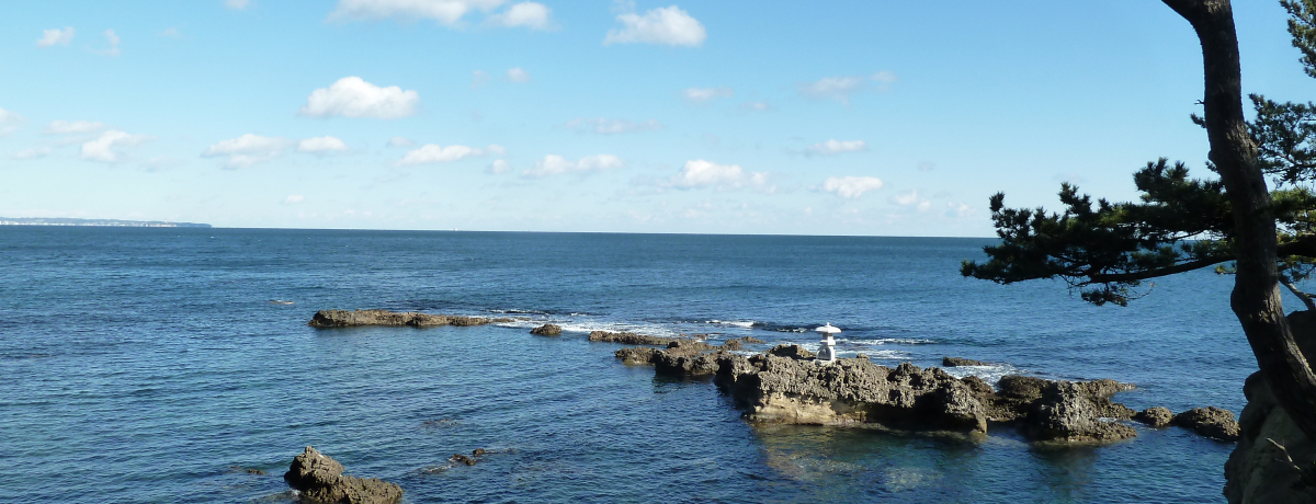 ���~�̖��o�I�u���񂱂��v�����Ɛ�i��k���Ŋ��\���悤