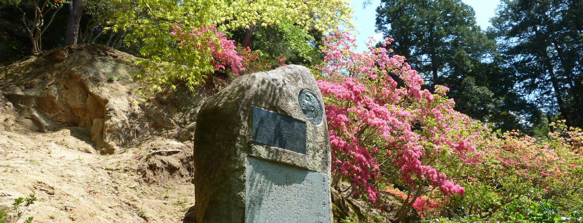 GWXXo|X|bgI}Ԃւɍs