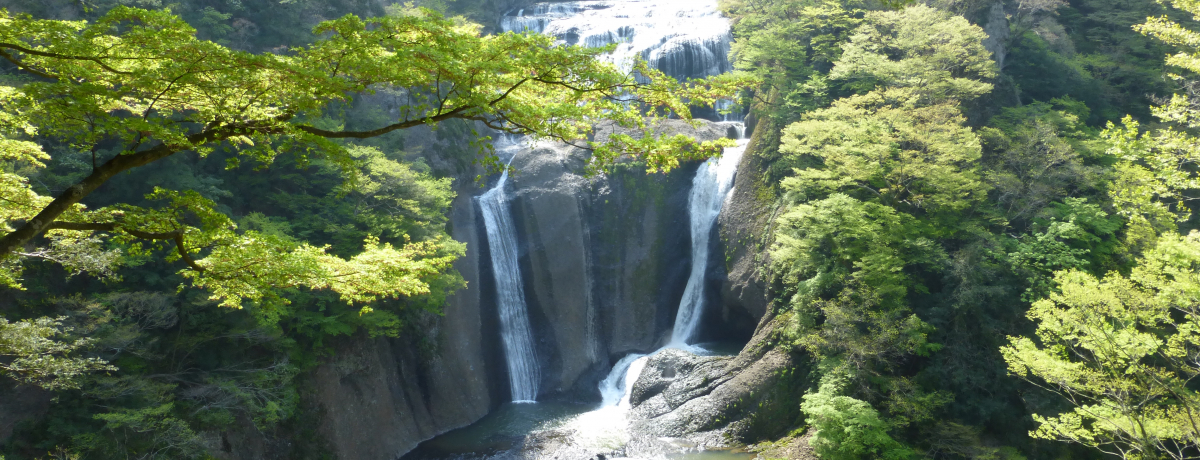 V΂̋G߂ɂ߁IEvGAő߂y