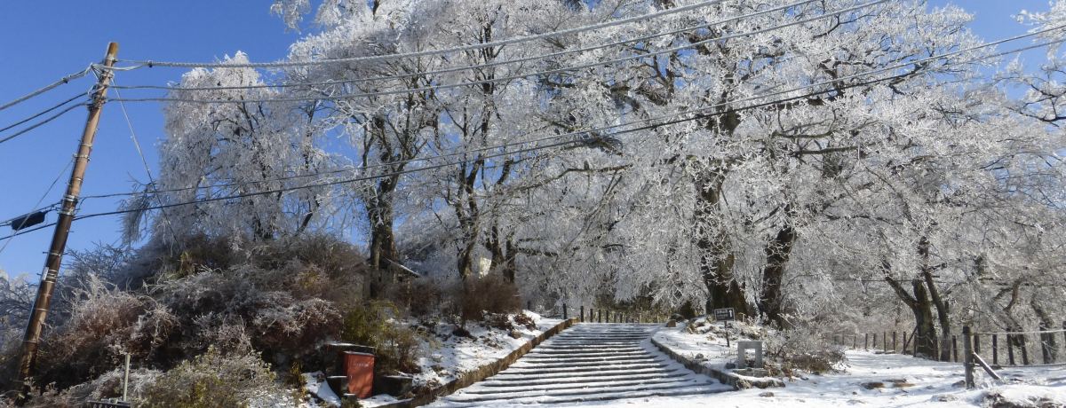 �֓�����������낷��W�]��I�~�̒}�g�R�Ő�i�𖞋i���悤