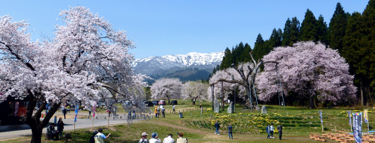 钬ߍX|bgRIIR`̏t́uuLv