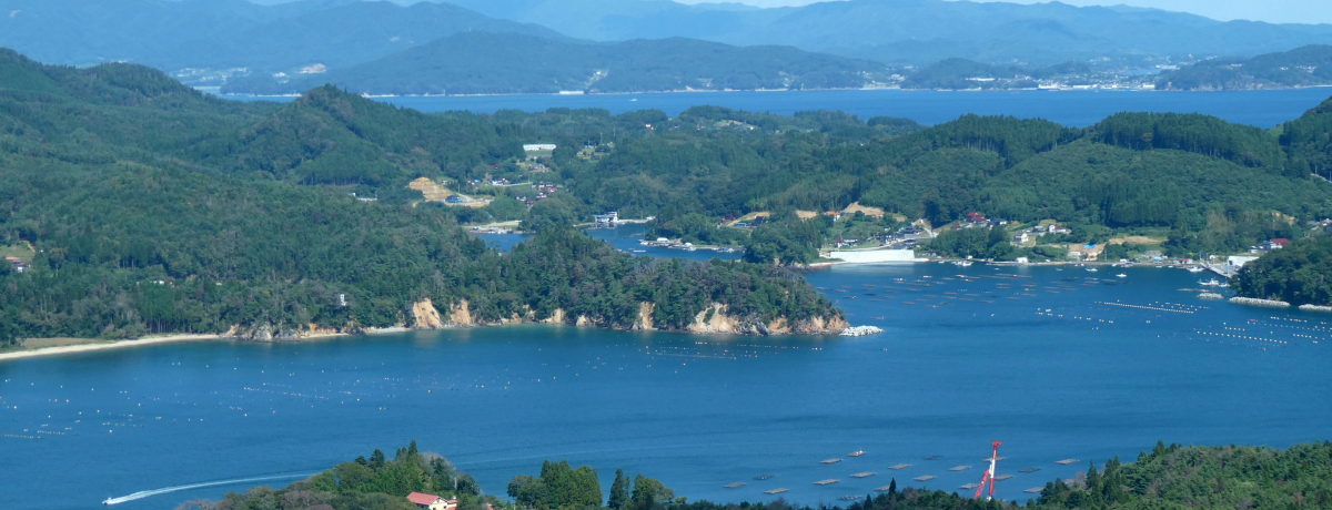 C哇勴JʁICu哇vŊCR̐i