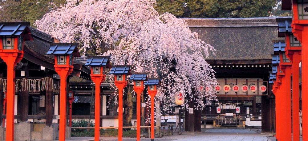 ̃CgAbvIs̍u_Ёv̍̌́H