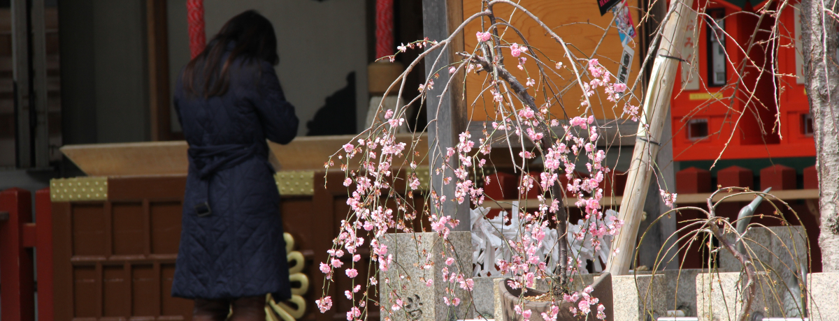 ���̎�{�ƂȂ�ɂ���`�������A�̃p���[�X�|�b�g�@���E�����V�_