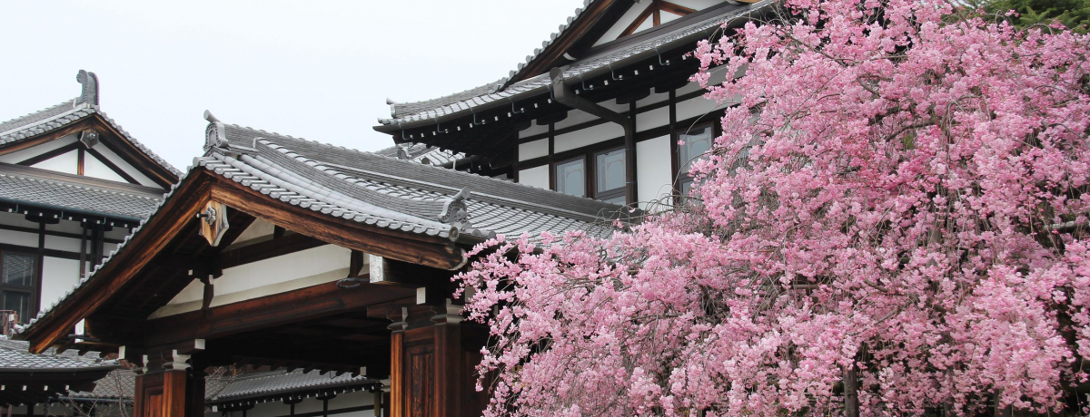 ̏D!?@DȓޗǃzeŎ̎Ԃ