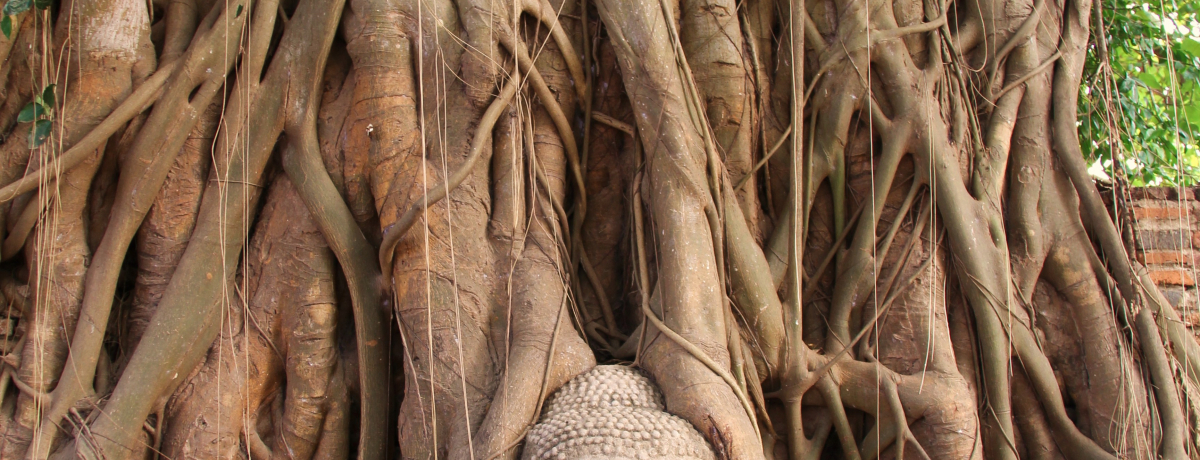 �˂͂�I���s���^�̃��{�b�g����������Ձ`�^�C�E�A���^��