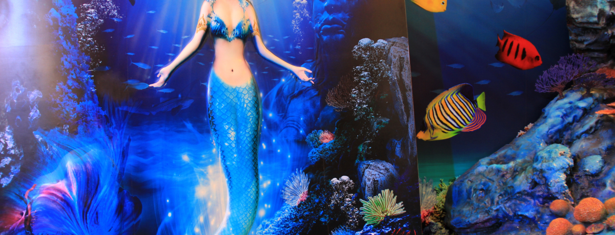 oRN̍fp[guTCApSv̊yݕ