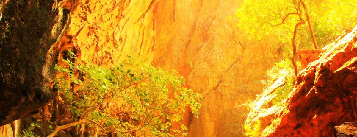 ^Ćû̂Pv!?_̓AuviP[uv