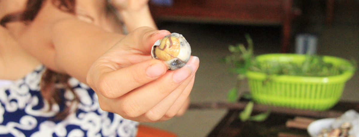 OeXNHxgiŁuzOEYvɃ`W