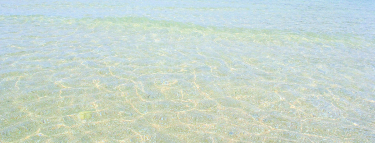 AWARʁI^CEpḰu}[v͔铇̒̔铇