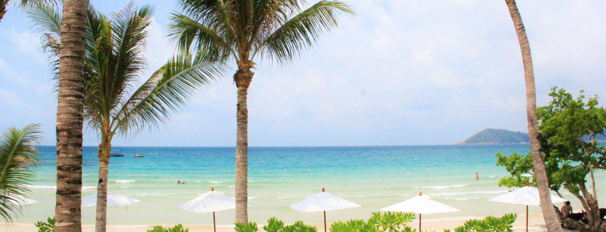 �T���b�g���̉B��ƃz�e���u���E���B�}�[���E�R�e�[�W�Y&�X�p�v�Ń^�C�̊y���ɗ�����