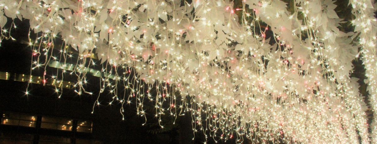 g~̍h͂ƖJIEm{́ũGKXvy