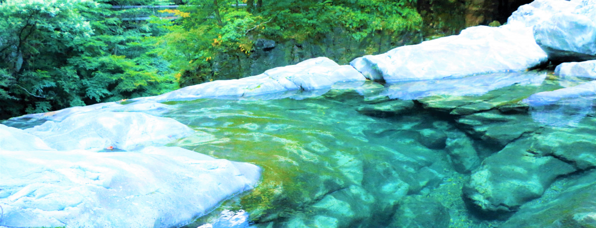 ޗǌV쑺u݂炢kJvŃnCLOIV΂gt̎ɂ