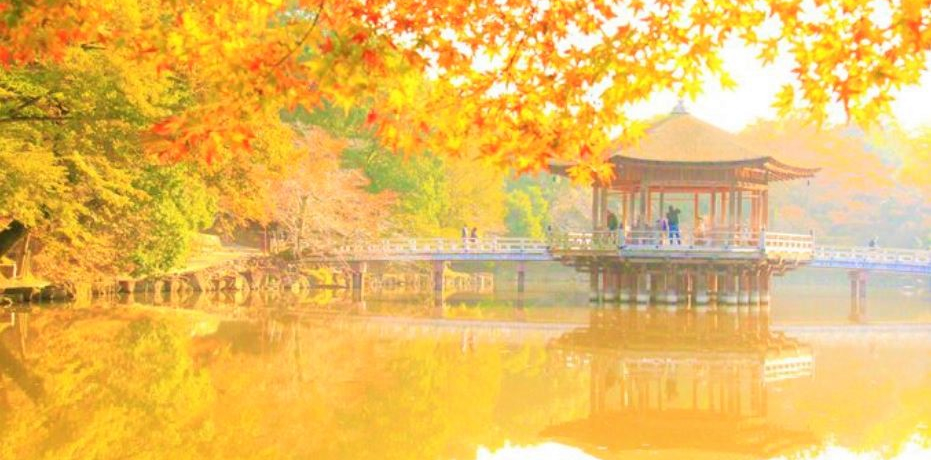 gť낪`Iޗǌ́Aޗǋw̍gtX|bg