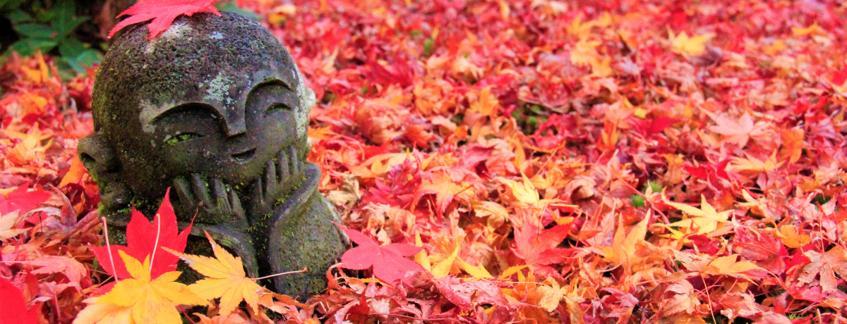 sό̌IsҌ̃~Xe[fB[vX|bg15I