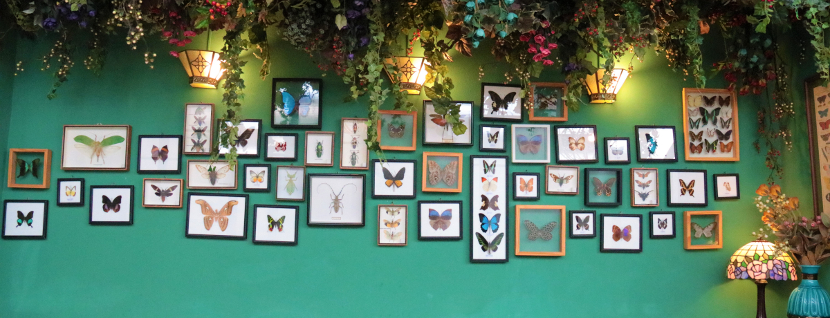 SNSECX^ŐlCIoRÑtFU[Xg[JtF